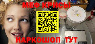 индика Камышлов