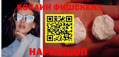 индика Камышлов