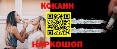 индика Камышлов