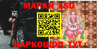 индика Камышлов