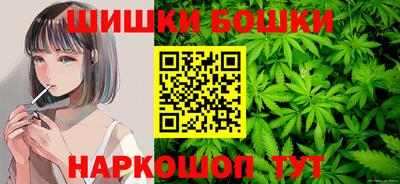 индика Камышлов