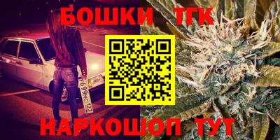 индика Камышлов