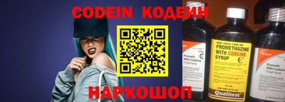 индика Камышлов
