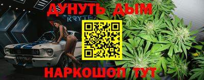 индика Камышлов