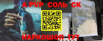 индика Камышлов