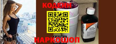 индика Камышлов