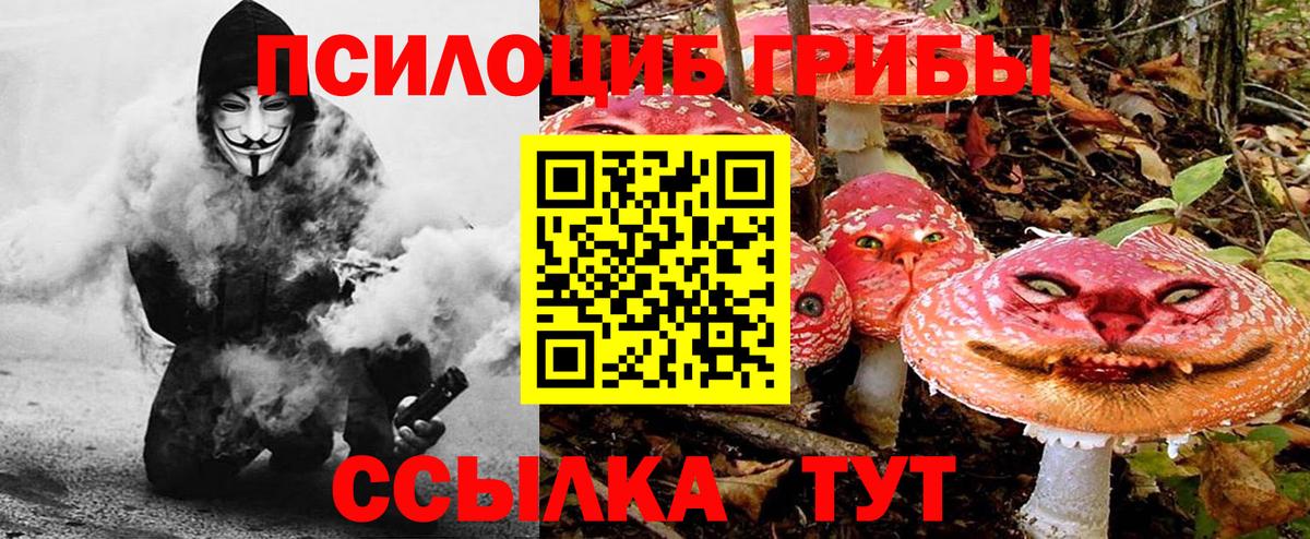 Кызыл  Галлюциногенные грибы мухоморы  Вход с VPN 